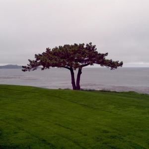 Meet your Posher, Lou